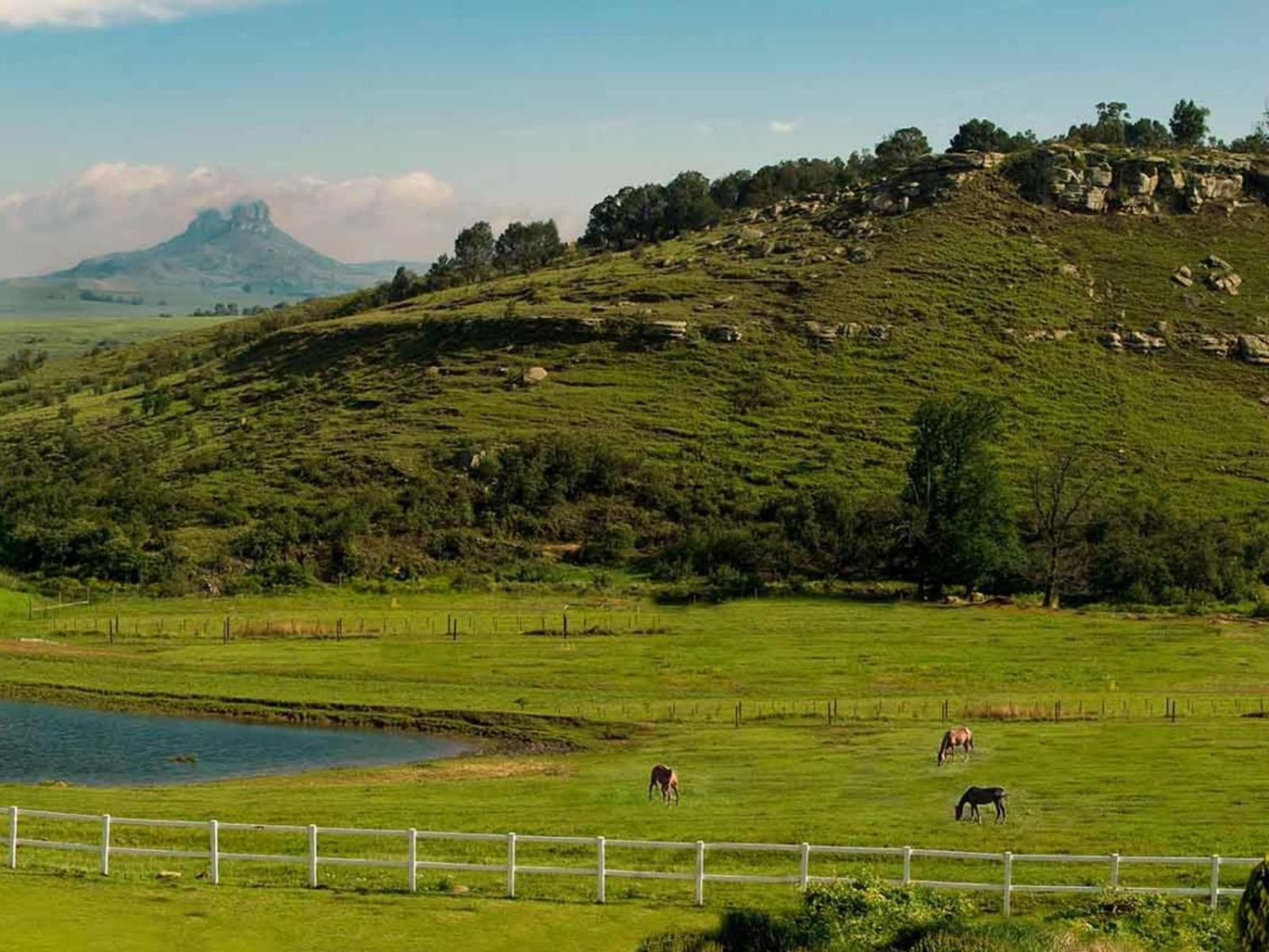 Oaklands Farm Stay Van Reenen Eksteriør bilde